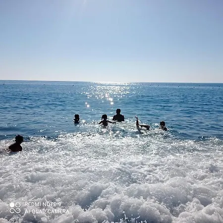 Garden Gafe * Diamante