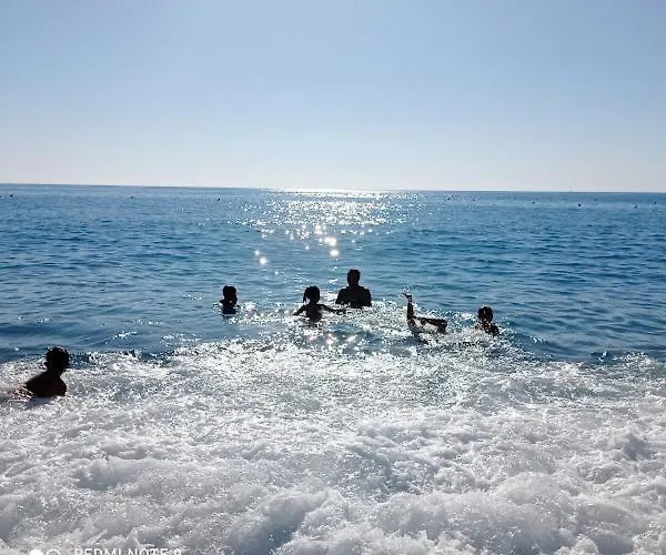 Garden Gafe * Diamante